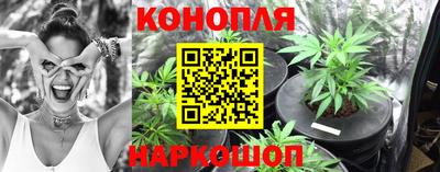 бошки Моздок