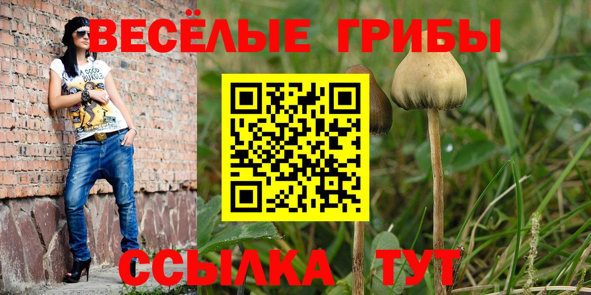 Галлюциногенные грибы GOLDEN TEACHER Петрозаводск