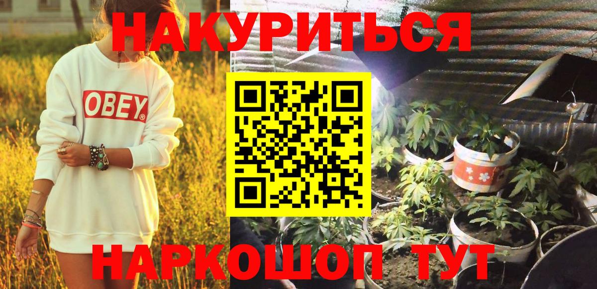 Каннабис конопля Петрозаводск